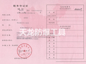 税务2